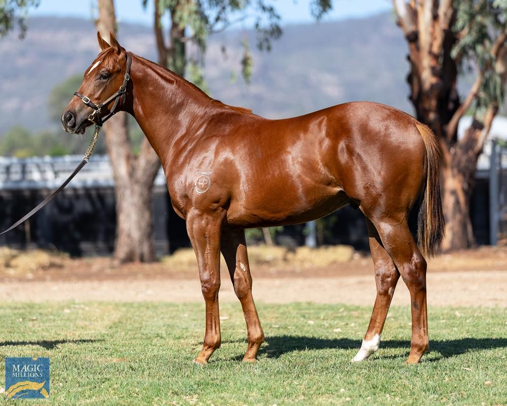 Impressive Debut Win For Caesar