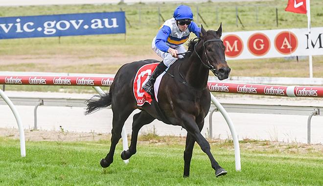 Jigsaw Wins Apache Cat Classic