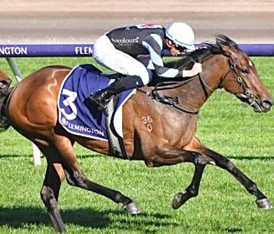 BREEDNET: "SARGE MAY HAVE ANOTHER KIRRAMOSA OR LUVALUVA IN HARLOW MIST"