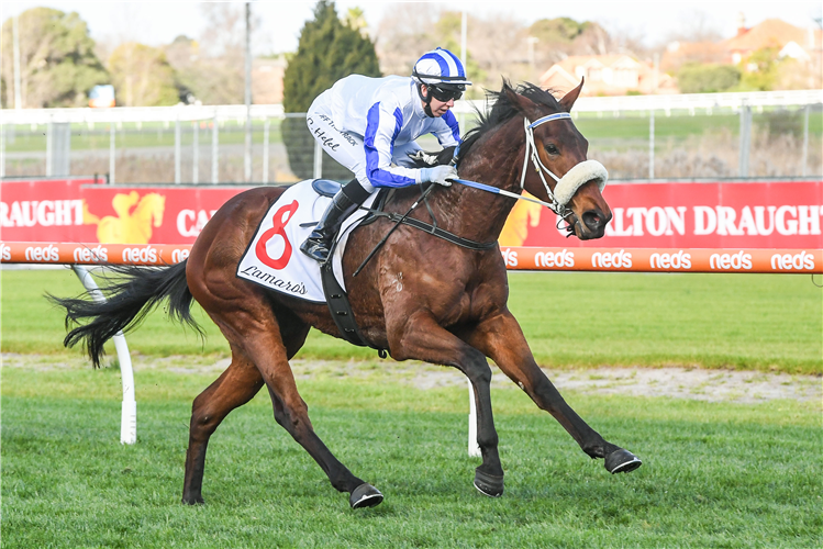 JJJ VRC Oaks Day Selections!