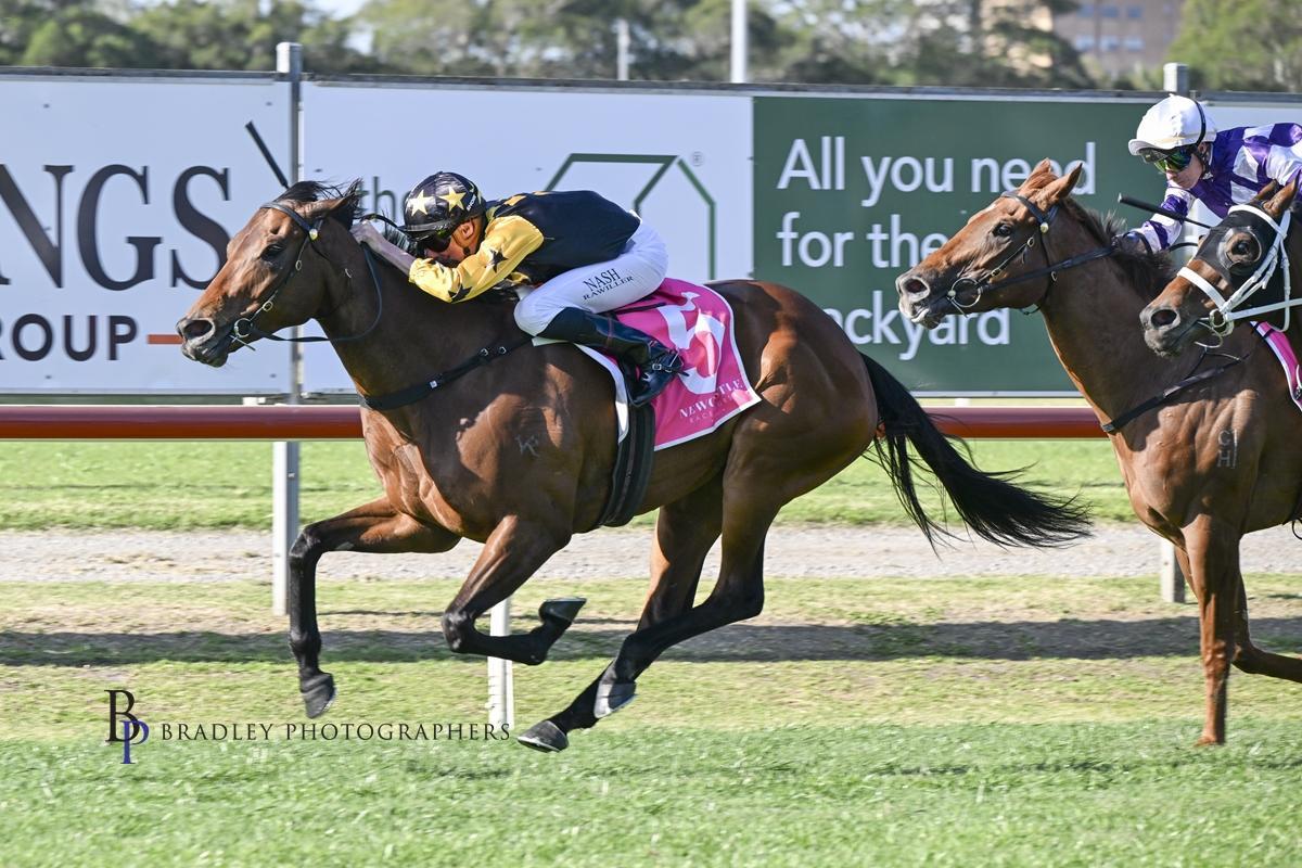 Picture of the author