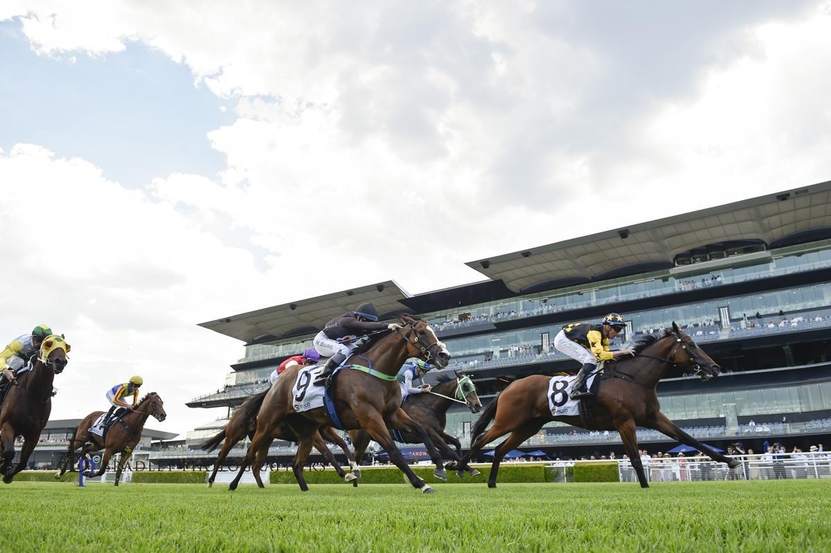 Picture of the author