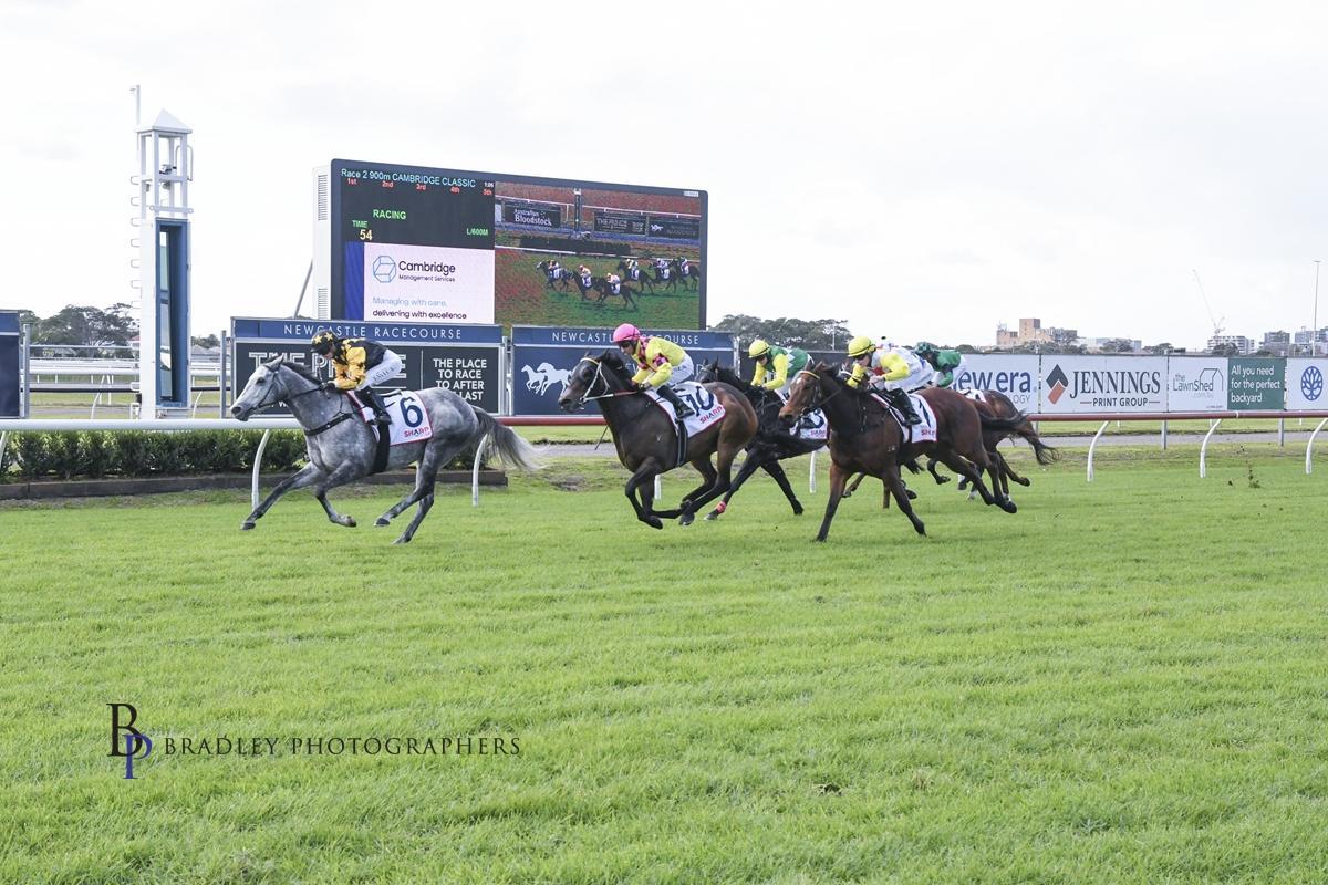 Picture of the author