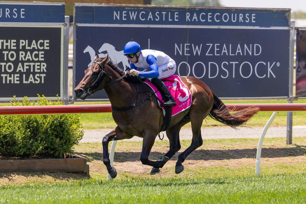 Russian Revolution 2YO Wins $160,000 Max Lees Classic