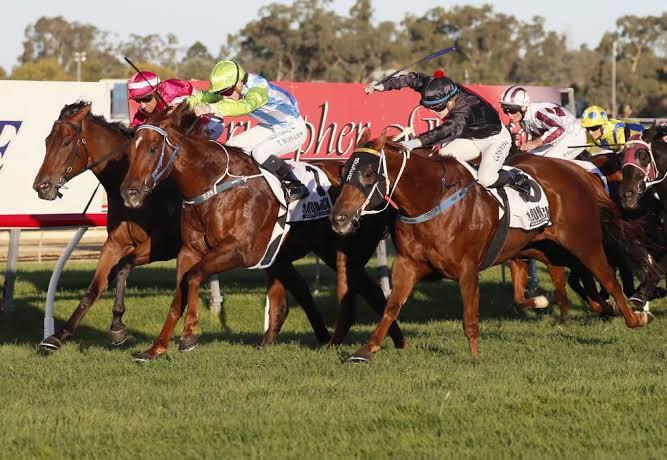 The WAGGA TOWN PLATE is coming to Albury!