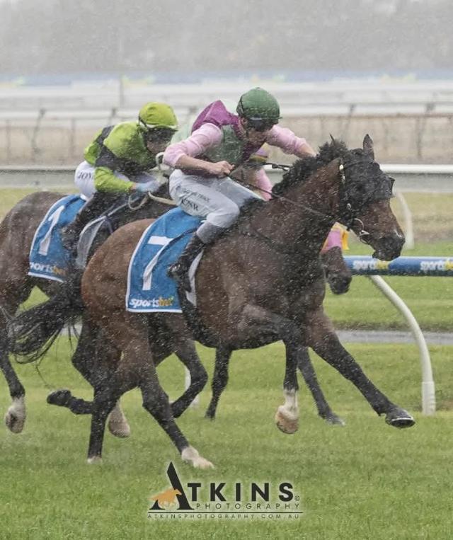 Caesar Reigns Supreme In Finals Day Victory - 22nd Nov 2025