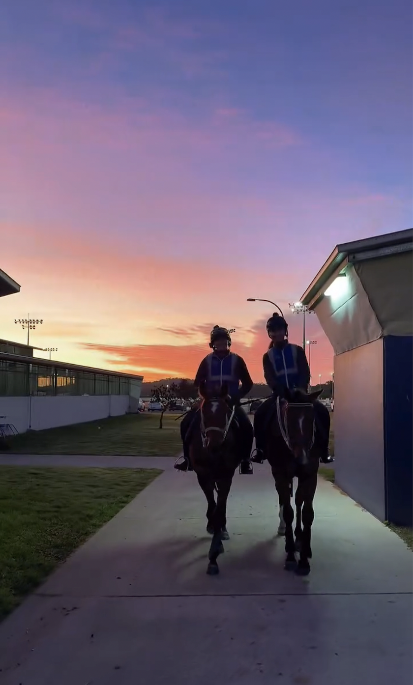 Screen Shot 2025-08-05 at 12.03.03 pm.png