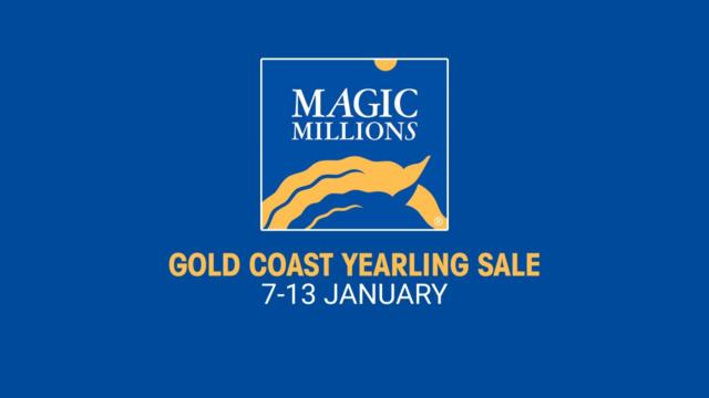 2025 Magic Millions Yearling Purchases