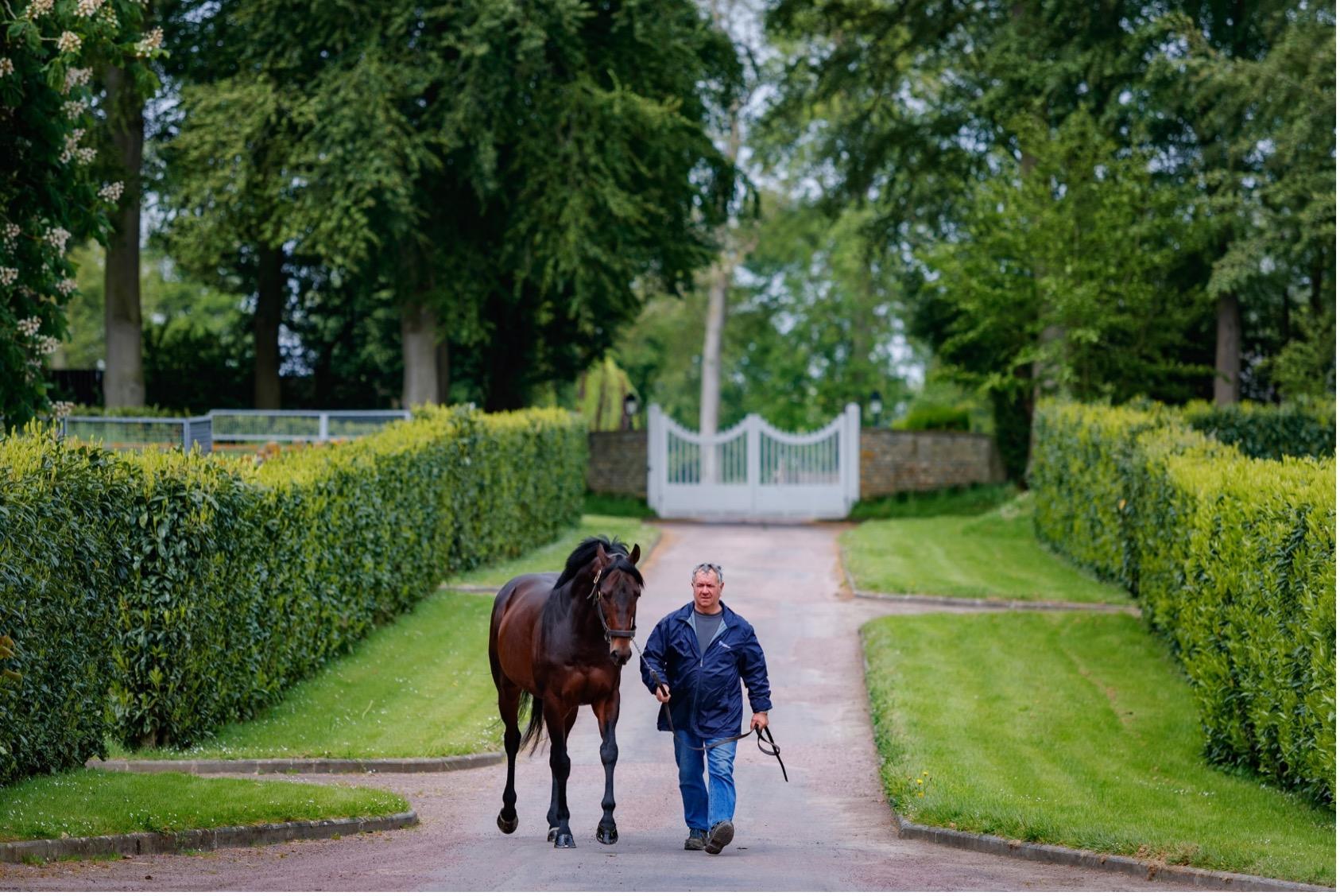 Picture of the author