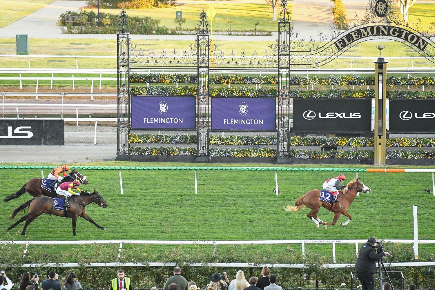 Picture of the author