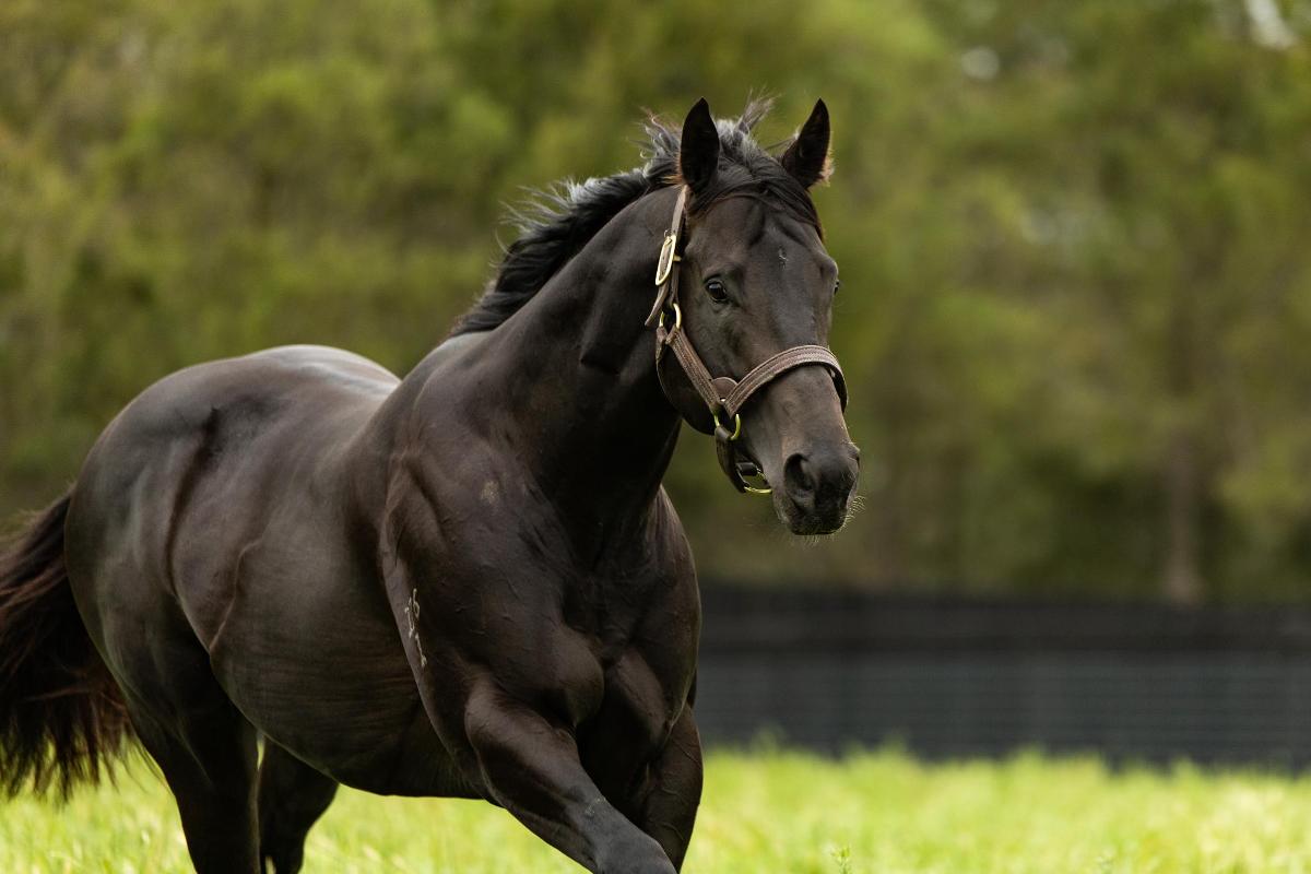 (homepage)(move-to-strike) Move To Strike - following the success of Vinny and his sons