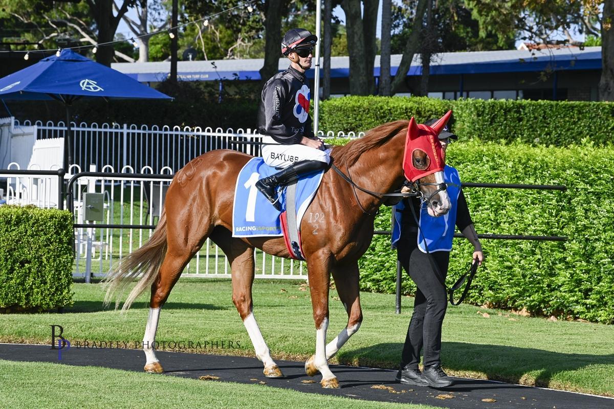 AUTUMN BLONDE - AN EXCITING NEW SEASON 3YO TO FOLLOW !