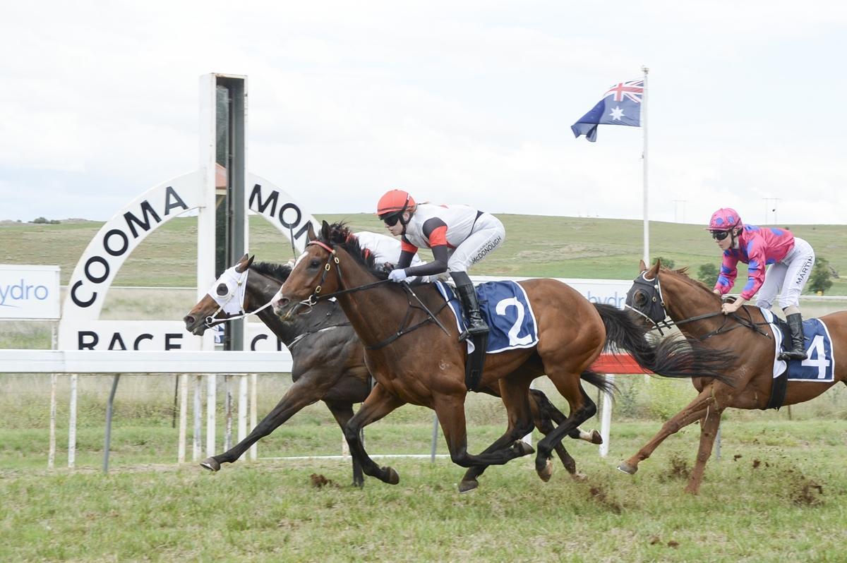 Fox Appeal out to defend Cooma Cup during busy weekend