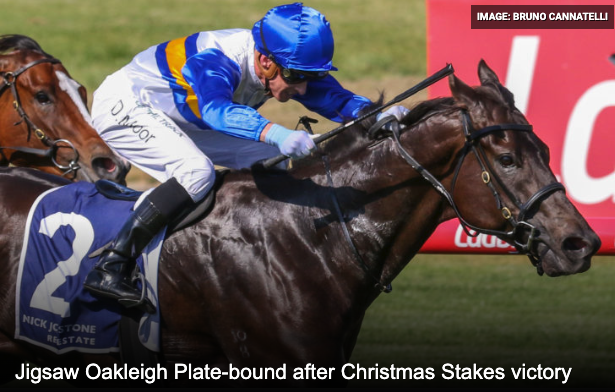 Jigsaw Wins A Unique Christmas Stakes