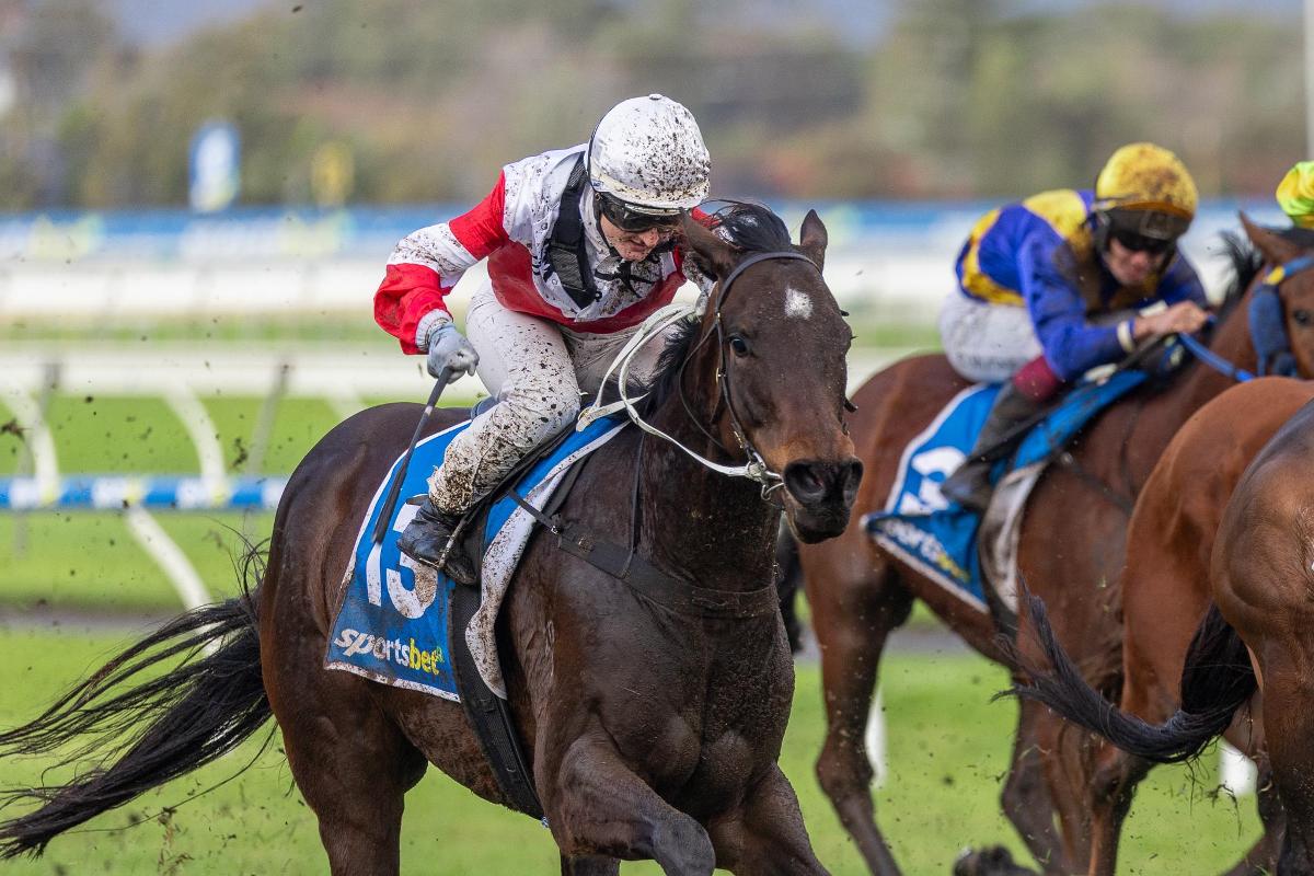 Cicala keeps unbeaten streak alive in Lightning Stakes