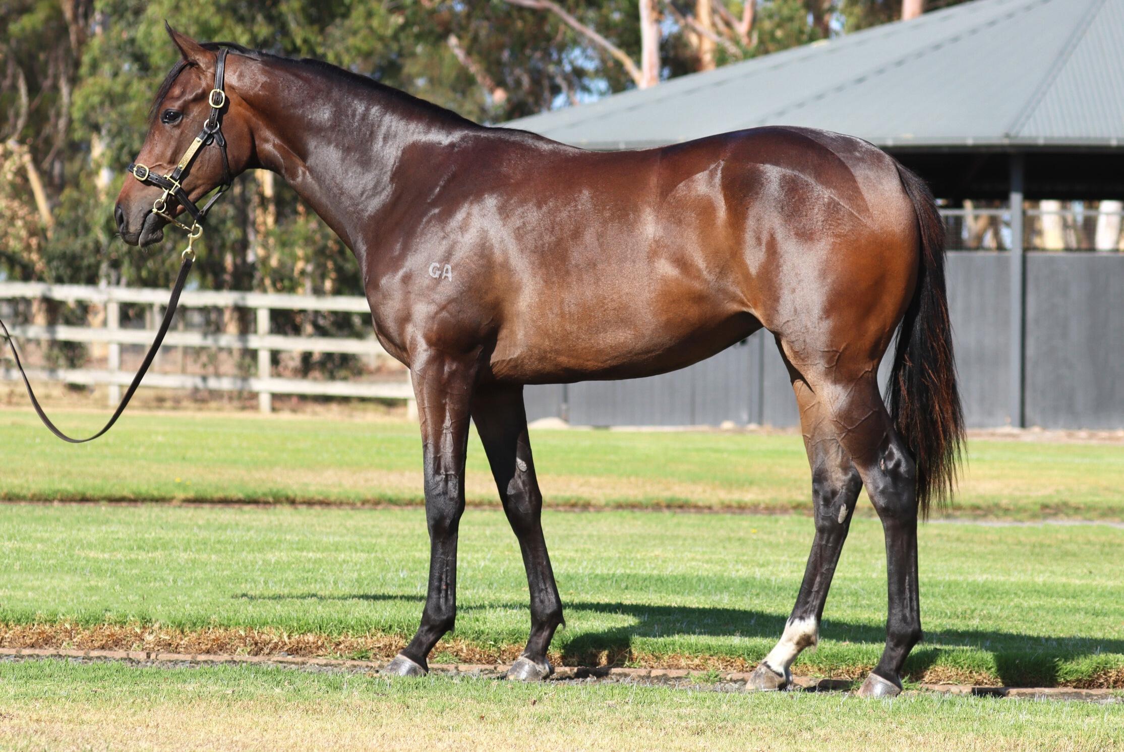 Ghaiyyath / Everybody Dance '24