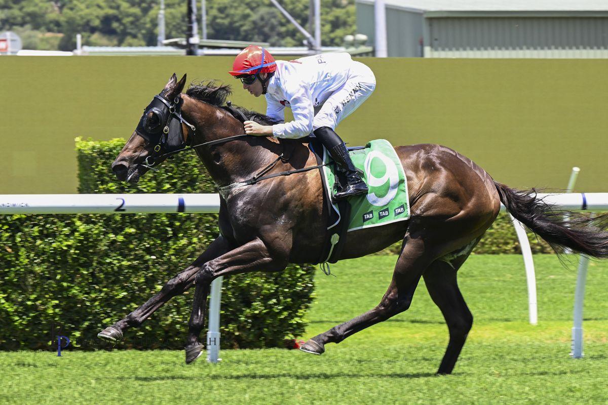Navy Buoy smashes them in the Highway!