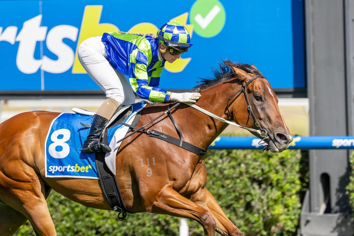 Clarken mare retired, promising stablemate making comeback