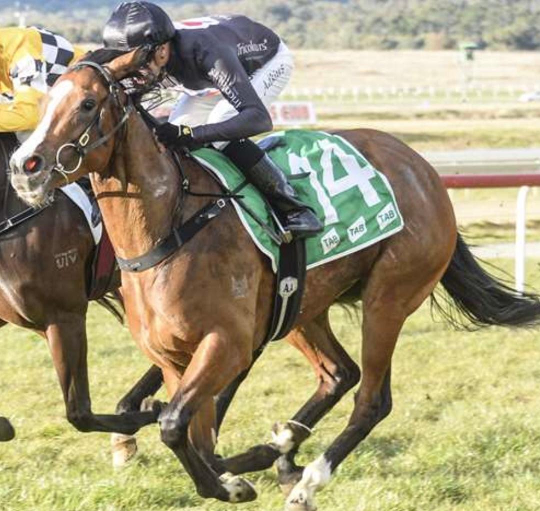 Ningaloo Star scores great win at 3rd career start
