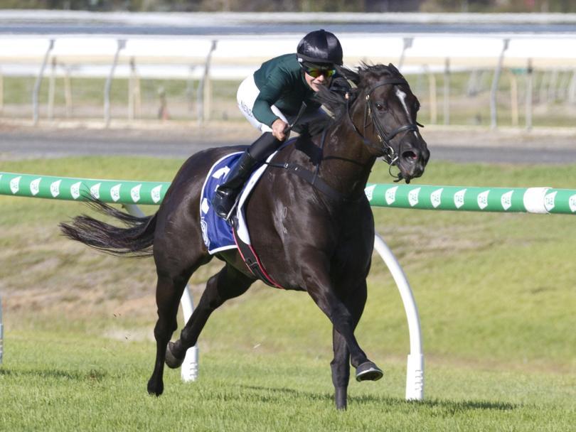Neindorf's confidence in 'Clad