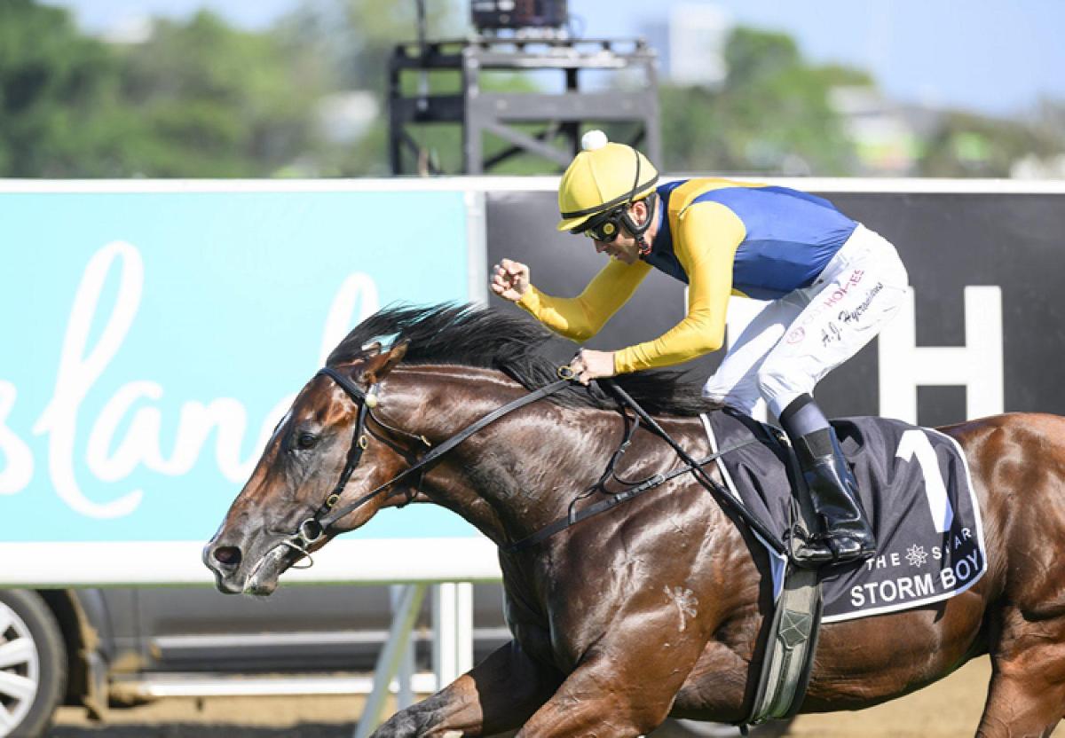(Stable Spotlight) EXPRESS YOUR INTEREST: Magic Millions Yearling Sale 2026 - Our Sale, Your Success