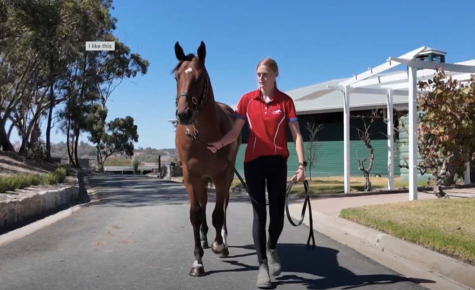 ABR Virtual Yearling Parade 2025