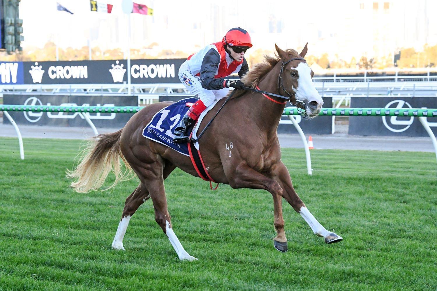 Picture of the author