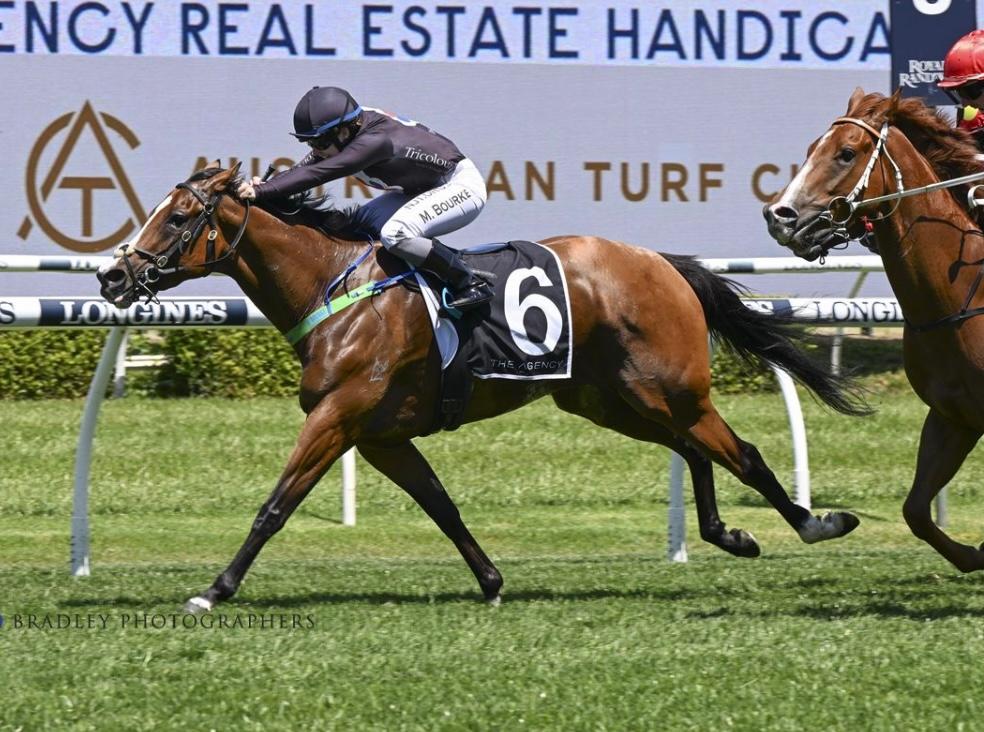 NINGALOO STAR WINS AT RANDWICK ON CUP DAY !
