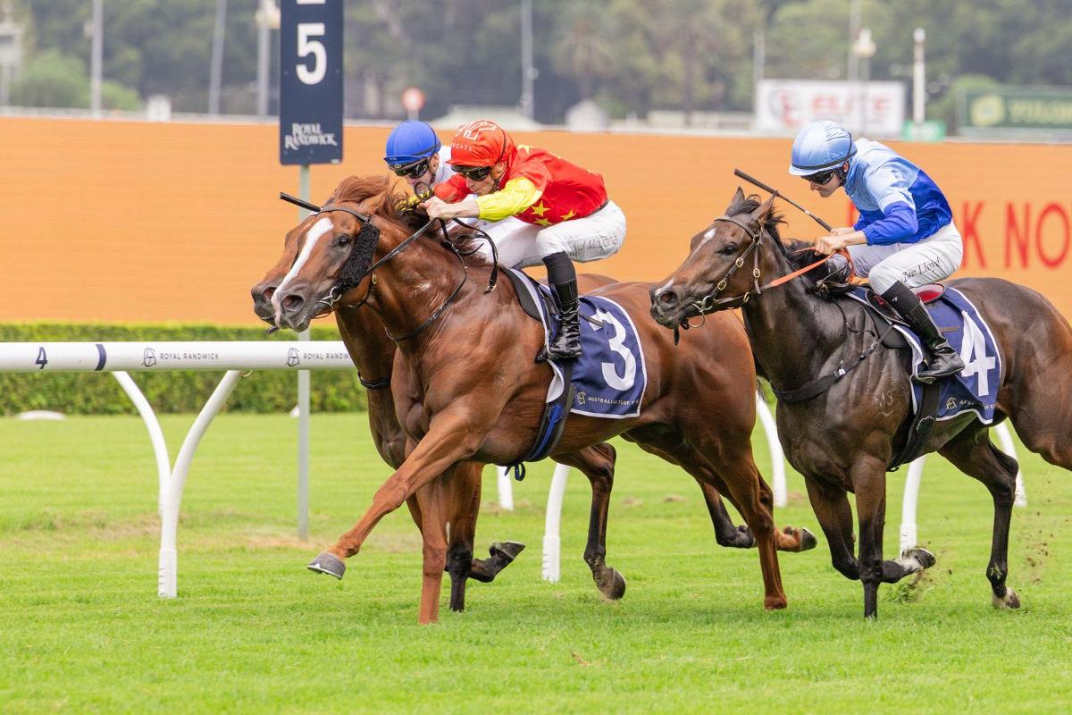 Fireball Stakes Victory To Beadman First Up