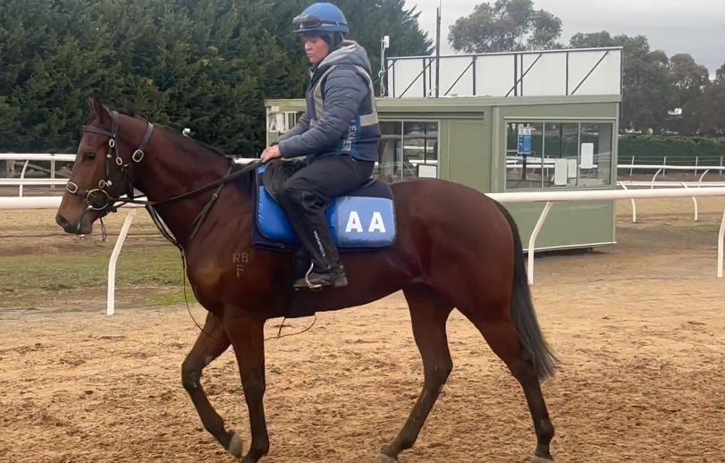 Racing Preview - 01/01/26