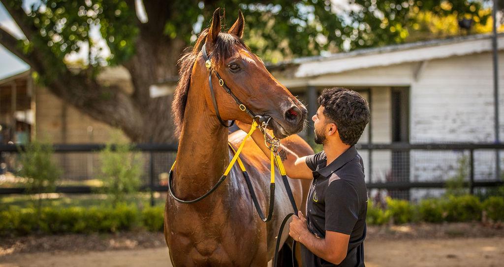 Picture of the author