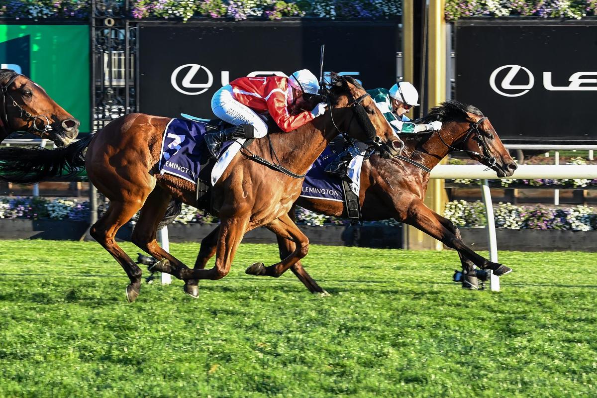 Listed Paris Lane Stakes To Media World