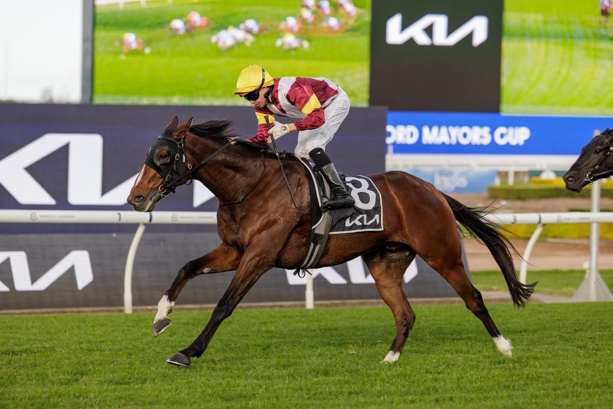 Touristic (GB) Wins Listed Canberra Cup