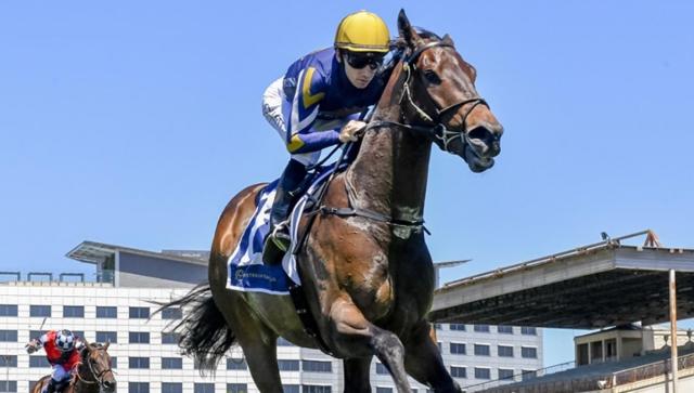 ICE KOOL SECURES SLOT IN THE 3M MAGIC MILLIONS SUNLIGHT