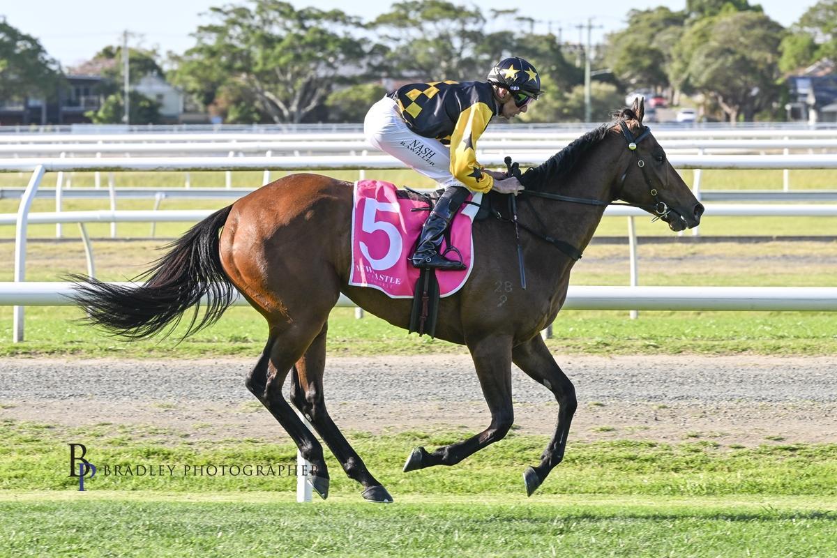 Picture of the author